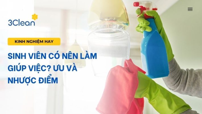 Sinh viên có nên làm giúp việc? Ưu và nhược điểm