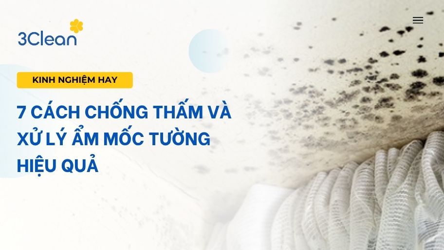 Bật mí 7 cách chống thấm và xử lý ẩm mốc đơn giản, nhanh chóng
