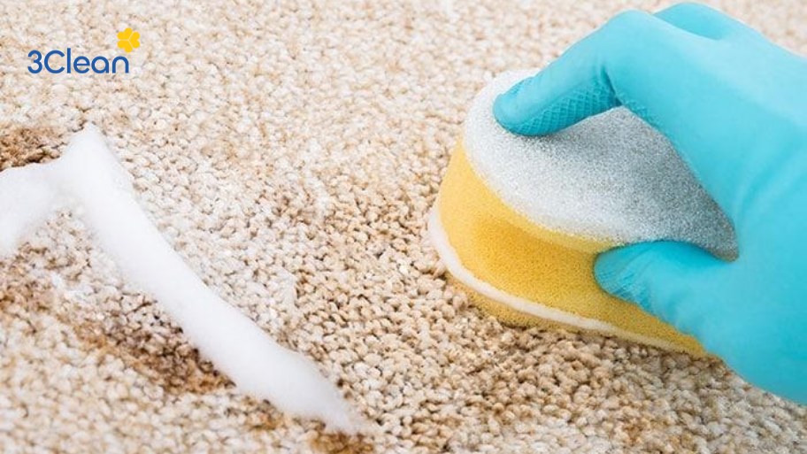 Quy trình vệ sinh thảm nỉ định kỳ