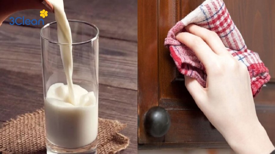 Đánh bóng lớp vecni của gỗ với sữa bò