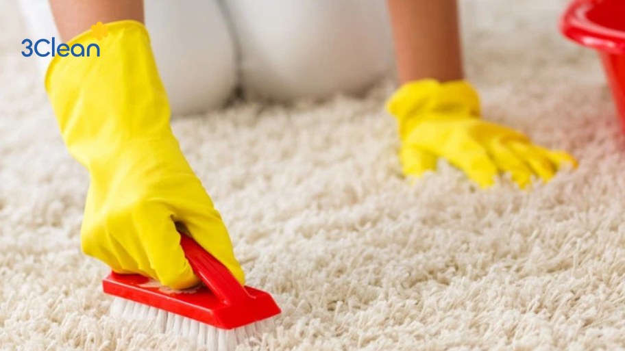 Cách vệ sinh thảm lông để xử lý vết máu bằng oxy già