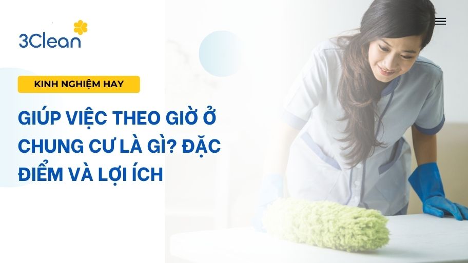 giúp việc theo giờ ở chung cư