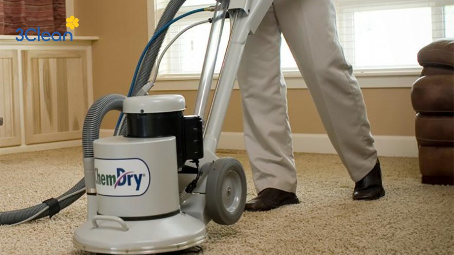 Hướng dẫn giặt thảm tại nhà bằng thiết bị vệ sinh chuyên dụng