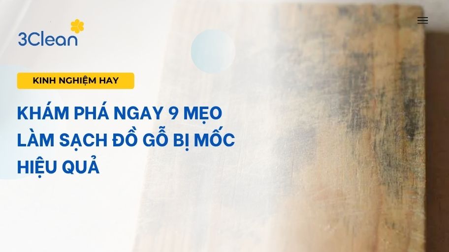 Khám phá ngay 9 mẹo làm sạch đồ gỗ bị mốc hiệu quả