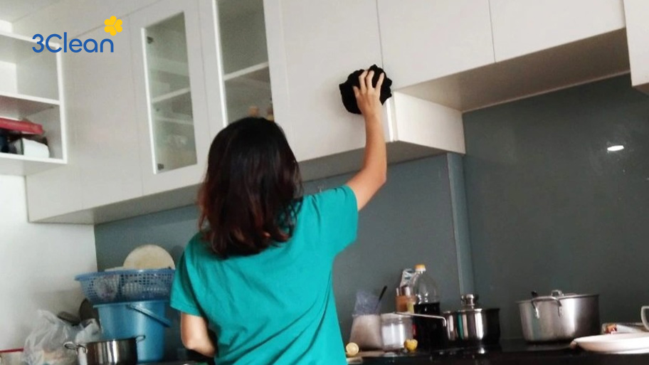 Xóa bỏ định kiến về người giúp việc trong xã hội hiện đại Khuyến khích sự tôn trọng của xã hội với người giúp việc, tạo nên sự công bằng như các ngành nghề khác
