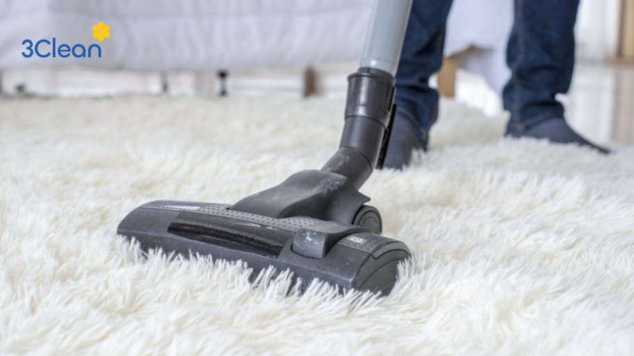 Làm sạch bụi bẩn trên thảm lông trước khi giặt