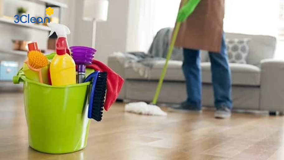 Xóa bỏ định kiến về người giúp việc trong xã hội hiện đại Lợi dụng những định kiến về người giúp việc một số người chủ nhà bóc lột sức lao động của người giúp việc