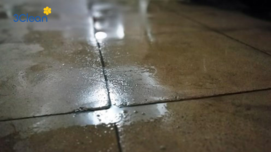 Có nhiều nguyên nhân dẫn đến nền nhà bạn bị đổ mồ hôi