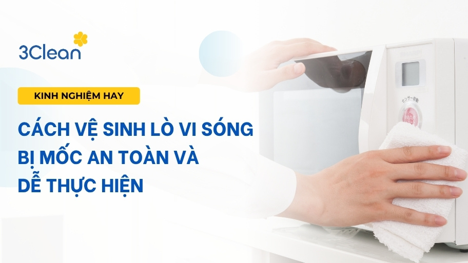 cách vệ sinh lò vị sóng bị mốc an toàn và dễ thực hiện