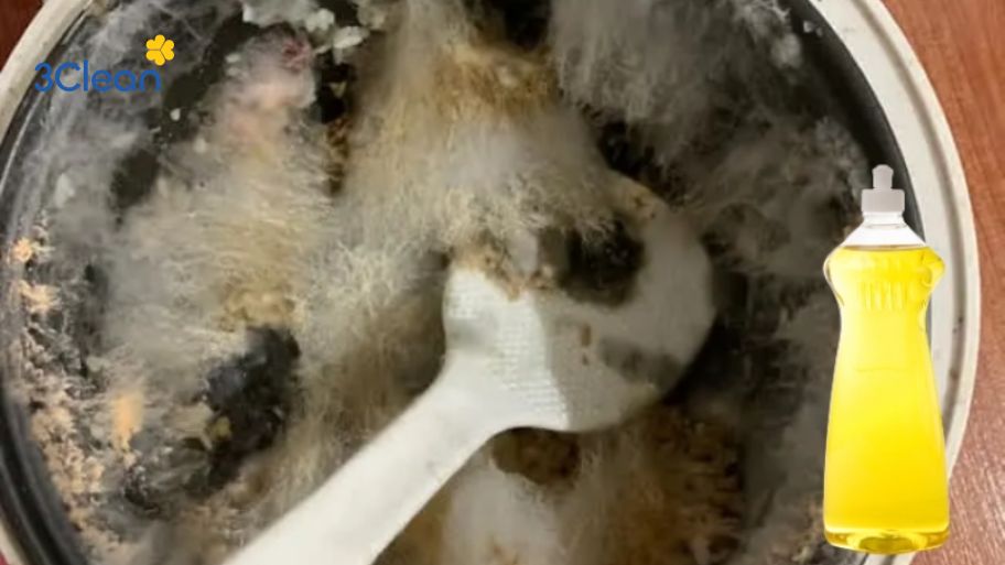 Lưu ngay 4 cách vệ sinh nồi cơm điện bị mốc đơn giản, nhanh chóng Cách làm sạch nồi cơm điện bị mốc bằng nước rửa chén