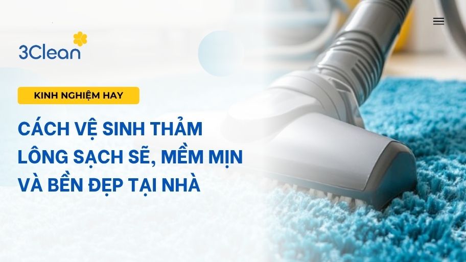 Cách vệ sinh thảm lông sạch sẽ, mềm mịn và bền đẹp tại nhà