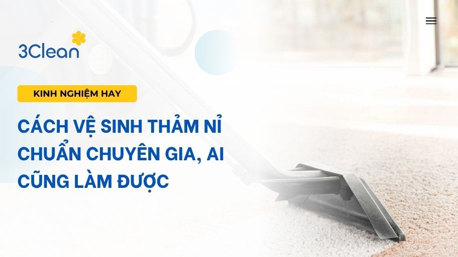 Cách vệ sinh thảm nỉ chuẩn chuyên gia, ai cũng làm được