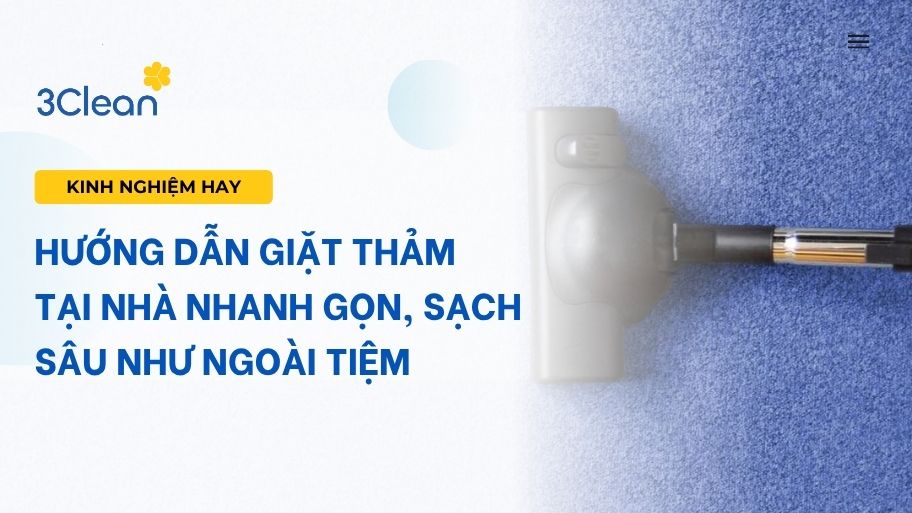 Hướng dẫn giặt thảm tại nhà nhanh gọn, sạch sâu như ngoài tiệm