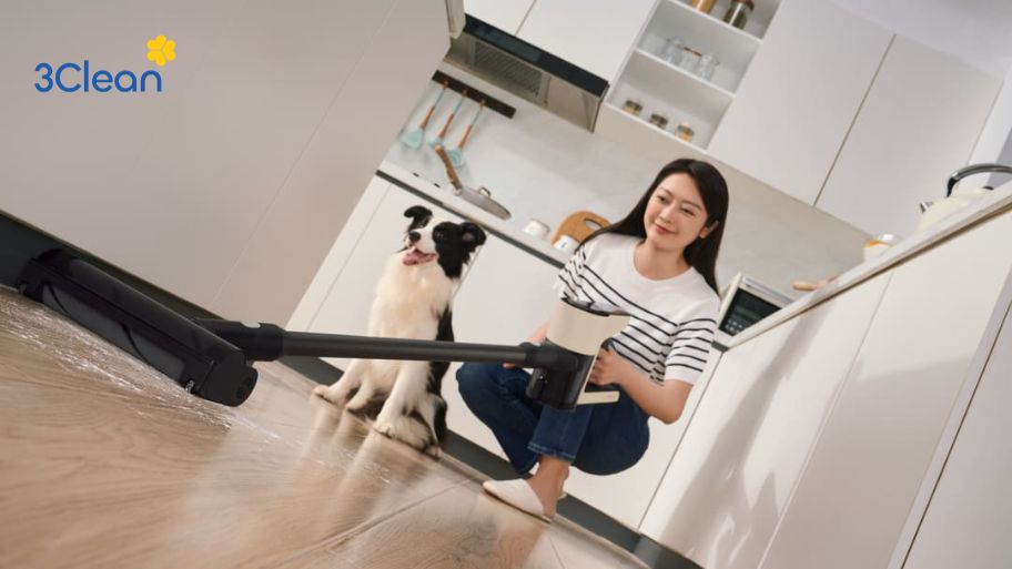 Máy hút bụi cỡ nhỏ và vừa là thiết bị dọn Tết quan trọng