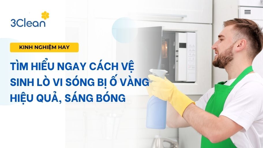 cách vệ sinh lò vi sóng bị ố vàng
