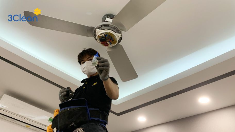 Tra dầu kỹ cho quạt trần