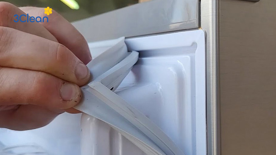 Miếng đệm tích tụ nhiều vi khuẩn cũng như bụi bẩn ở tủ lạnh