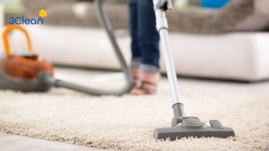 Xử lý vết bẩn cứng đầu trên thảm lông trước khi giặt