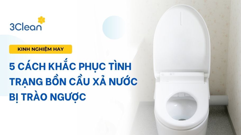 5 Cách khắc phục tình trạng bồn cầu xả nước bị trào ngược