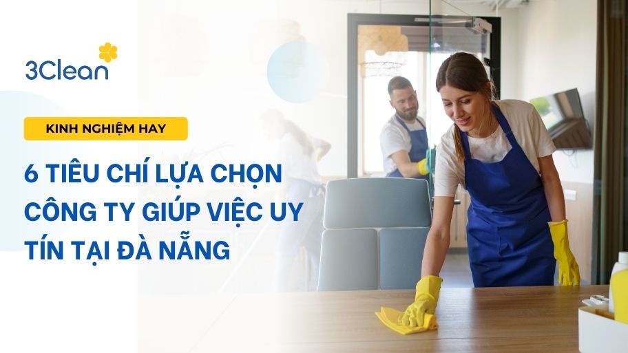 6 Tiêu chí lựa chọn công ty giúp việc uy tín tại Đà Nẵng