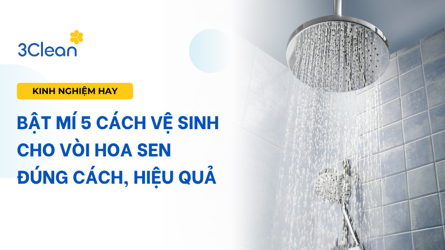 Bật mí 5 cách vệ sinh cho vòi hoa sen đúng cách, hiệu quả