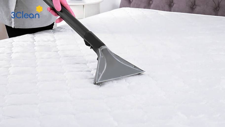 Cách vệ sinh nệm foam tại nhà cực dễ dàng Hút bụi toàn bộ bề mặt nệm foam