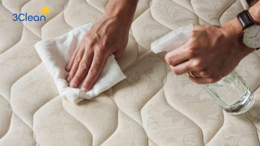Cách vệ sinh nệm foam tại nhà cực dễ dàng Xử lý vết bẩn, vết ố trên nệm foam nhanh chóng
