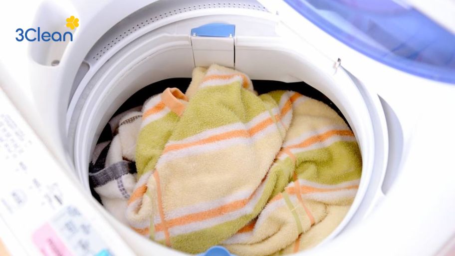 Cách giặt chăn lông bằng phương pháp giặt khô đơn giản