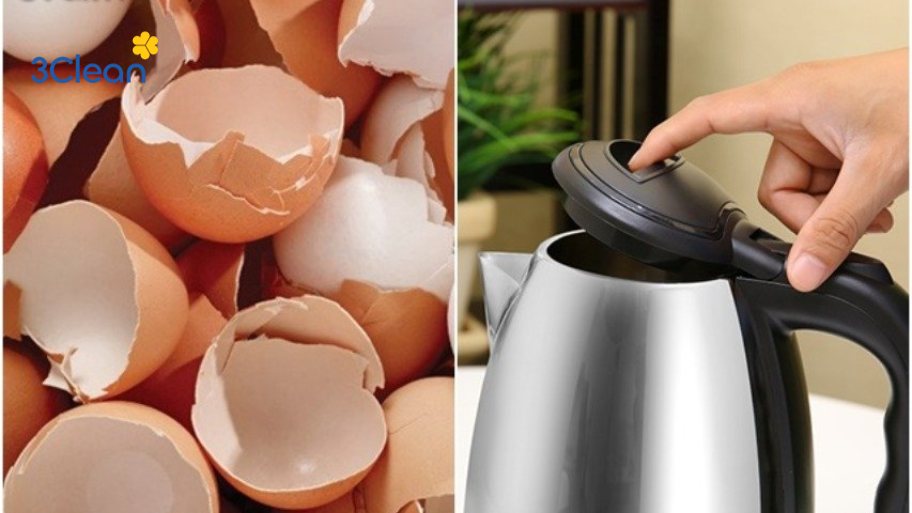 Cách vệ sinh ấm siêu tốc bằng vỏ trứng
