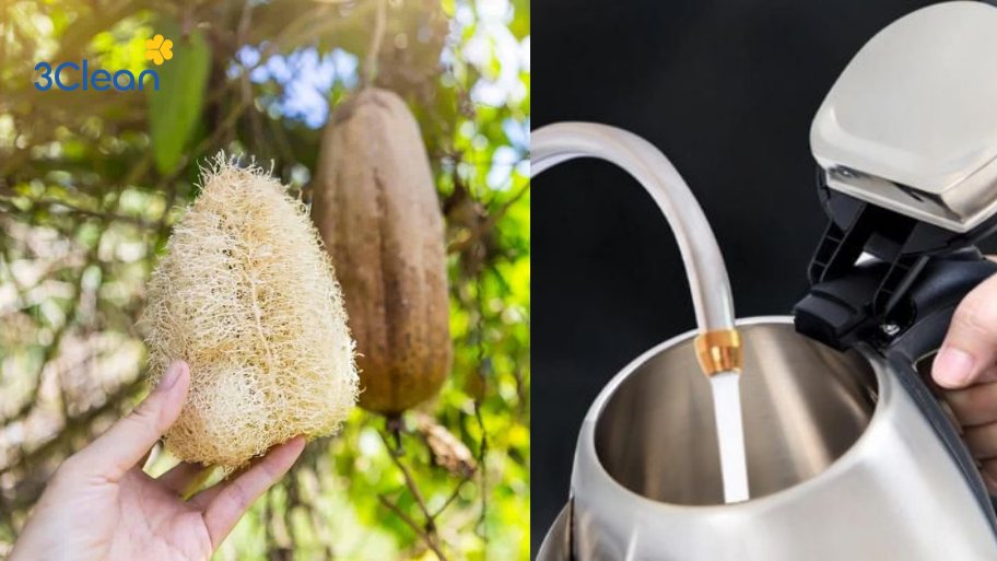 Cách vệ sinh ấm siêu tốc bằng sơ mướp