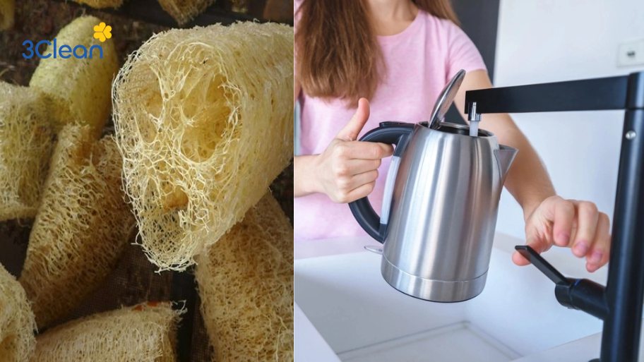 Hướng dẫn tẩy cặn vôi trong ấm đun nước bằng xơ mướp hoặc lá trà