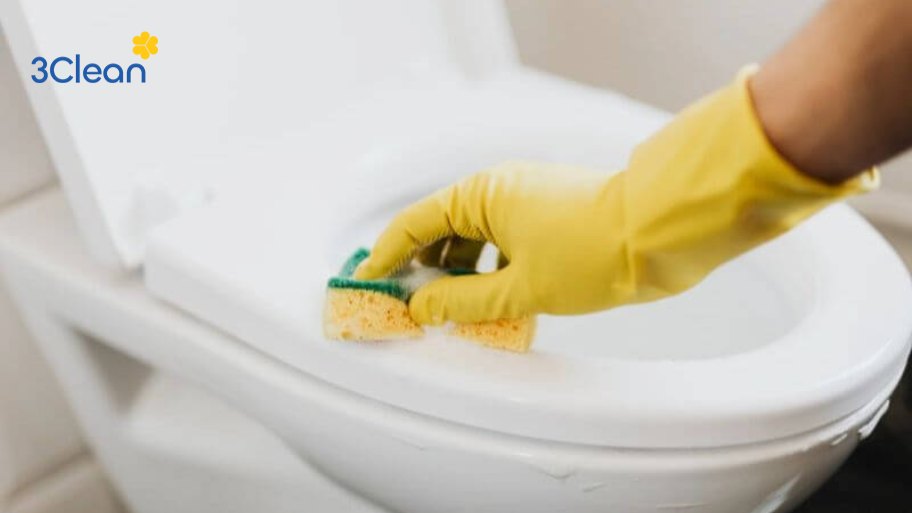 Hướng dẫn chi tiết cách vệ sinh bồn cầu bên ngoài