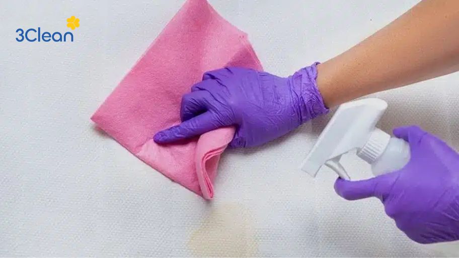 Hướng dẫn cách vệ sinh nệm bông ép