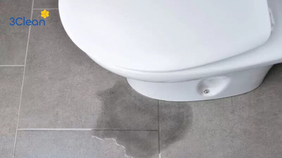Dấu hiệu cho thấy bồn cầu nhà bạn bị rỉ nước