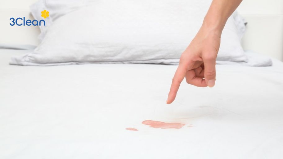 Cách vệ sinh Drap Polyester