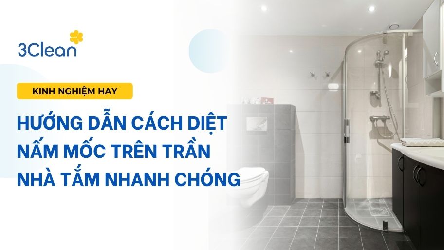 Hướng dẫn cách diêt nấm mốc trên trần nhà tắm nhanh chóng