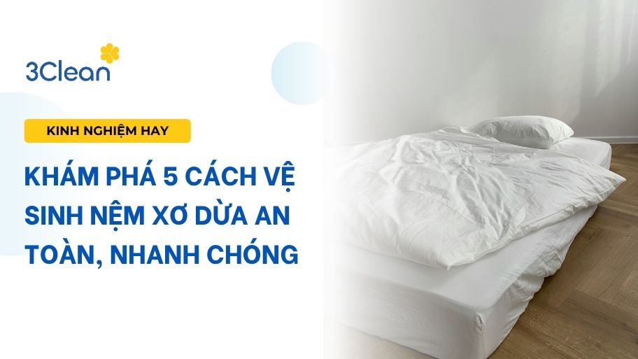 Khám phá 5 cách vệ sinh nệm xơ dừa an toàn, nhanh chóng