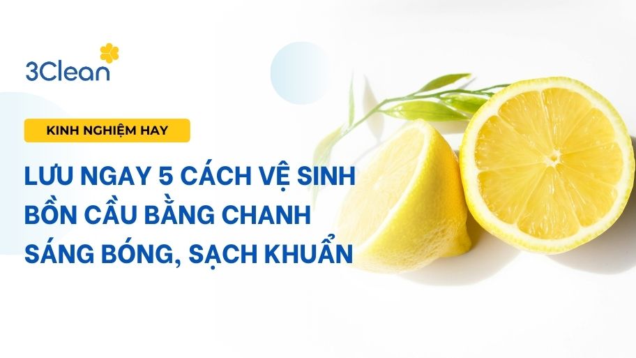 Lưu ngay 5 cách vệ sinh bồn cầu bằng chanh sáng bóng, sạch khuẩn