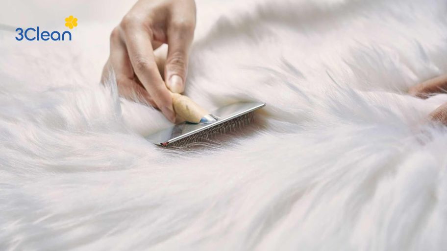 Hướng dẫn cách bảo quản chăn lông bền đẹp        