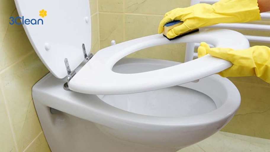 Vì sao nên làm sạch bồn cầu thường xuyên?