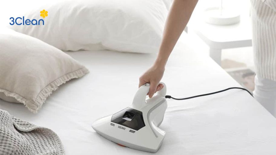 Vai trò của việc vệ sinh nệm định kỳ