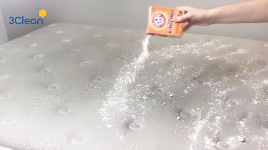 Hướng dẫn cách vệ sinh nệm đúng cách