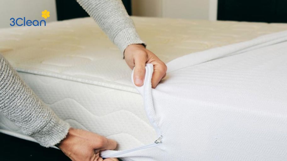 Cách vệ sinh vỏ nệm bông ép đúng quy trình