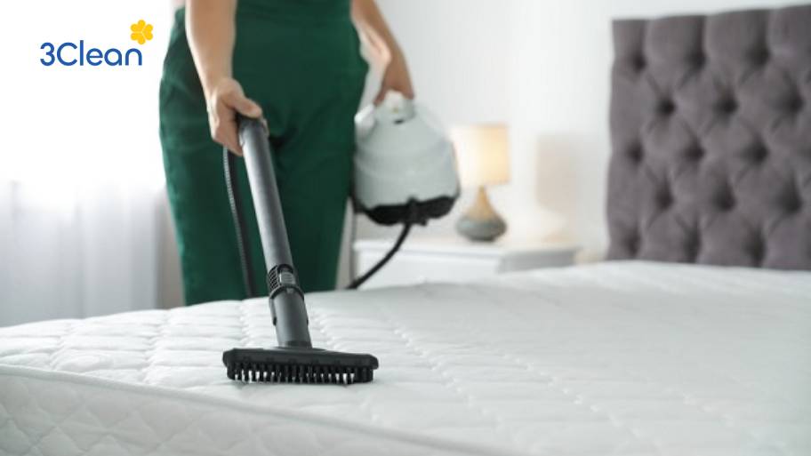 Cách vệ sinh nệm foam tại nhà cực dễ dàng Lý do nên vệ sinh nệm foam định kỳ để sạch và bền lâu