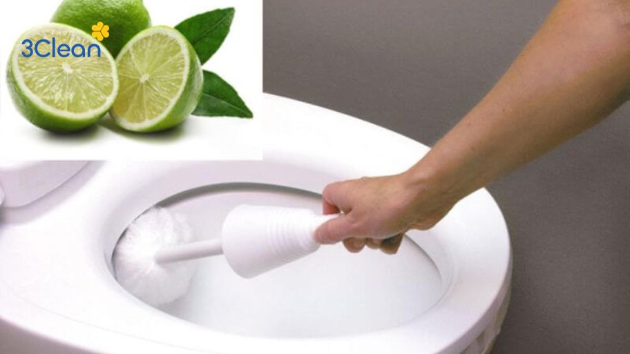 Bật mí 5 cách vệ sinh bồn cầu bằng chanh sạch sáng, khử mùi Tại sao nên vệ sinh bồn cầu bằng chanh?
