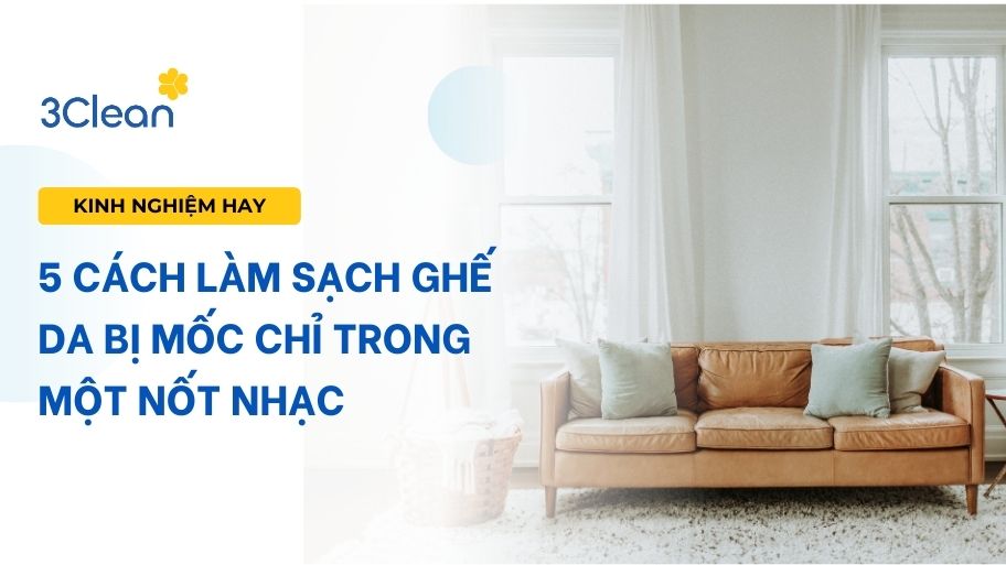 Bật mí 5 cách làm sạch ghế da bị mốc đơn giản và hiệu quả tại nhà 5 Cách làm sạch ghế da bị mốc chỉ trong một nốt nhạc