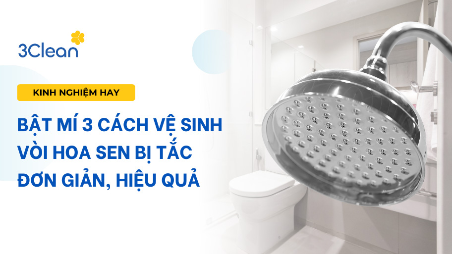Bật mí 3 cách vệ sinh vòi hoa sen bị tắc đơn giản, hiệu quả