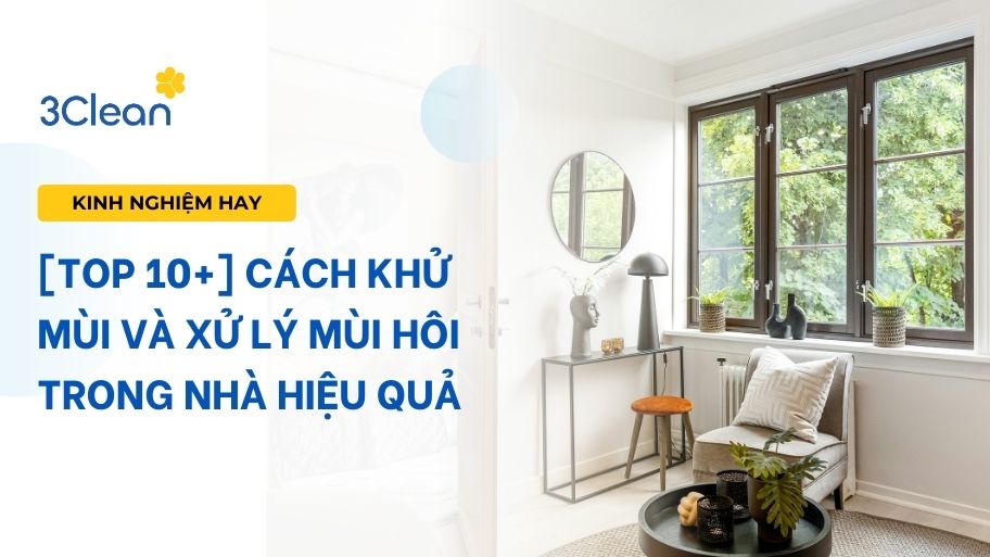 [TOP 10+] Cách khử mùi và xử lý mùi hôi trong nhà hiệu quả