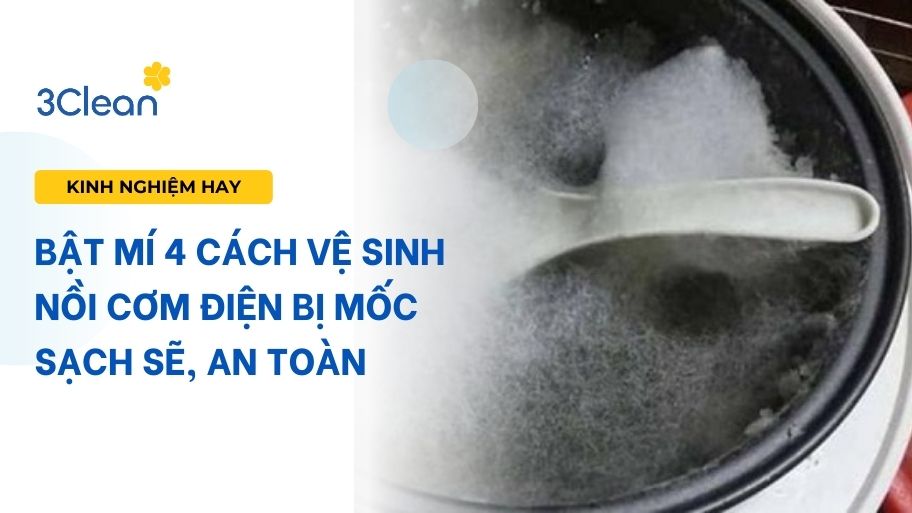 Lưu ngay 4 cách vệ sinh nồi cơm điện bị mốc đơn giản, nhanh chóng Bật mí 4 cách vệ sinh nồi cơm điện bị mốc sạch sẽ, an toàn