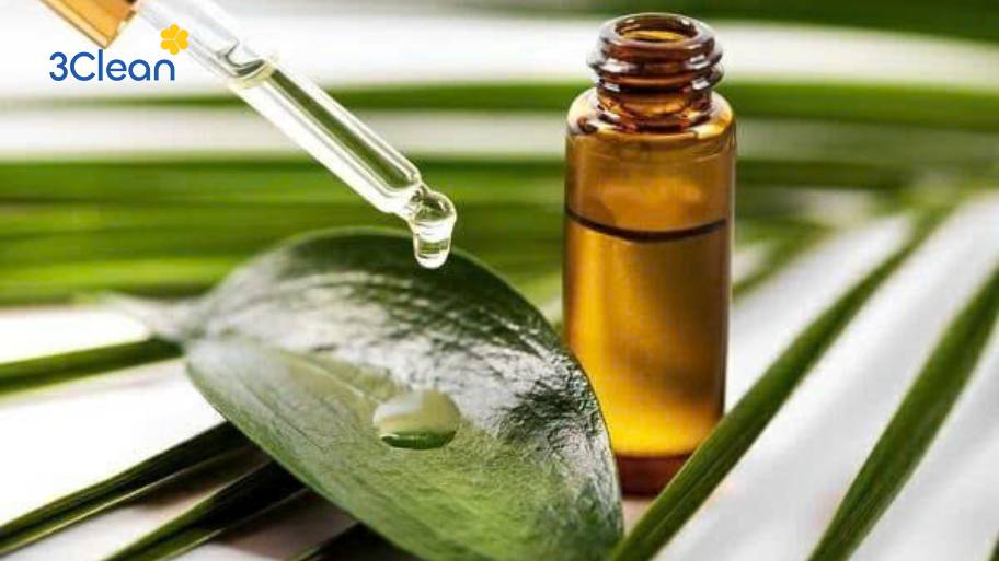 Bật mí 5 cách làm sạch ghế da bị mốc đơn giản và hiệu quả tại nhà Dưỡng và bảo vệ ghế da bằng các loại tinh dầu